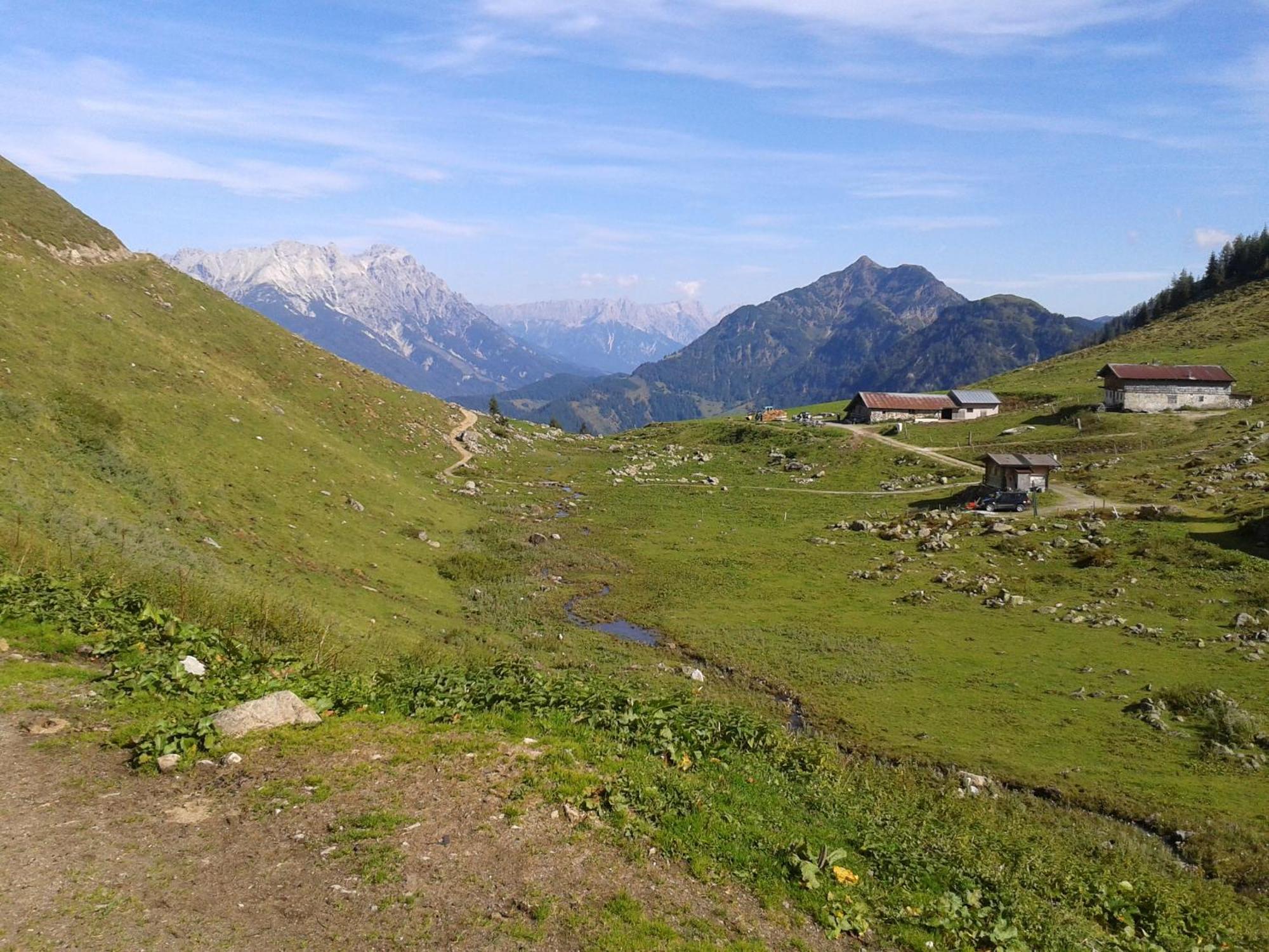 Ferienwohnung Biechl-Hauser Doris Sankt Ulrich am Pillersee Exteriér fotografie